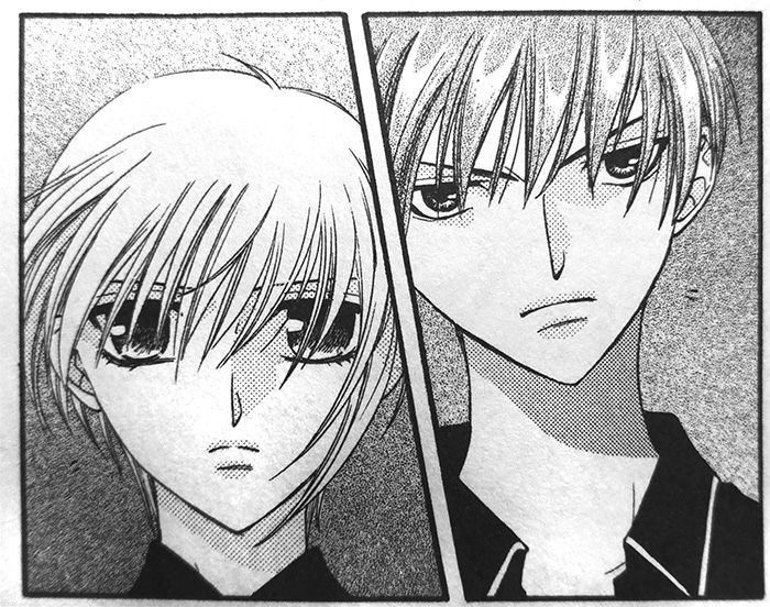 Skye's Scribblings: Manga Review: Fruits Basket Series (Natsuki